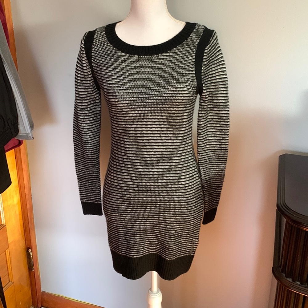 Express Sweater Dress